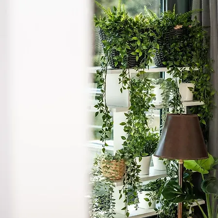 Baltica Heaven By 2homerent Rogowo (Gryfice)