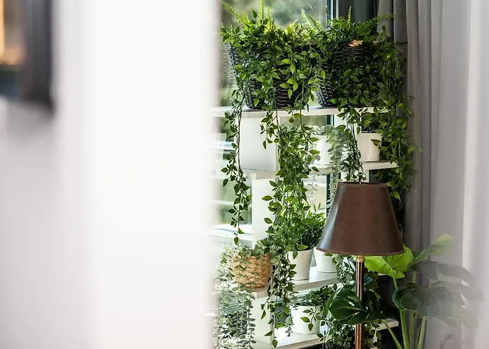 Baltica Heaven By 2homerent Rogowo (Gryfice)